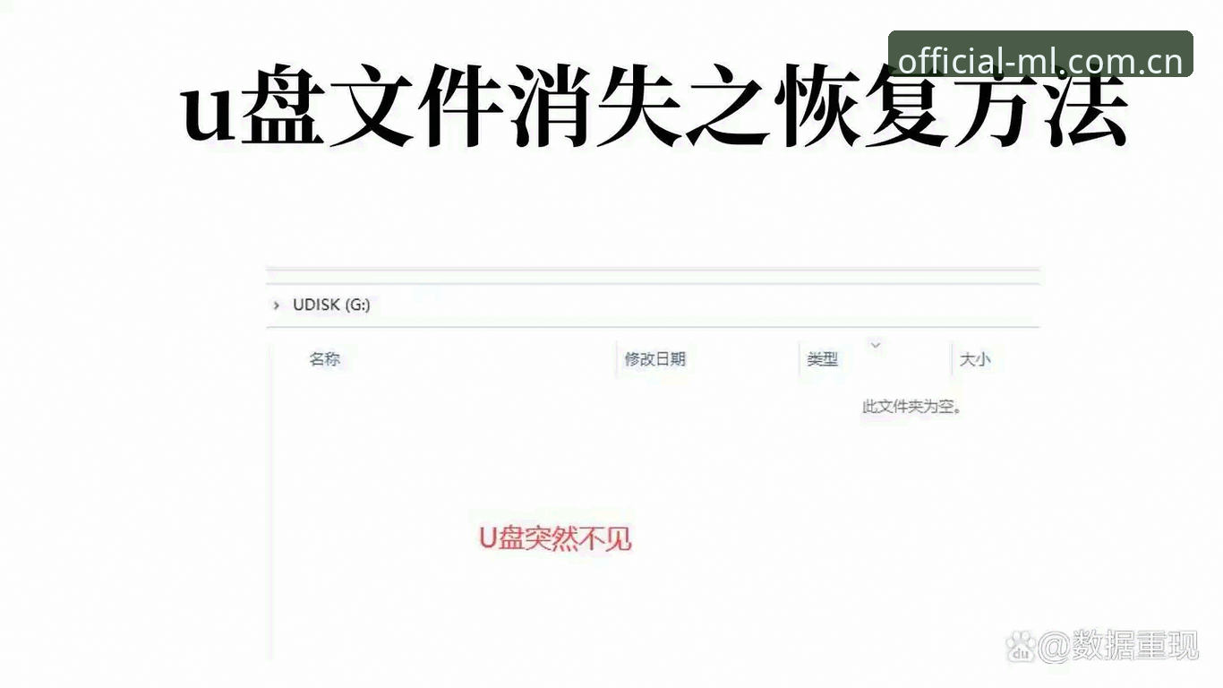 世界杯观赛签证危机：米兰体育平台深度解读与应对指南